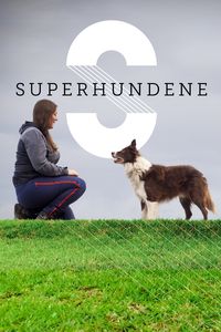 Superhundene