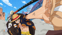 Gathering into a Powerful Front! Luffy and a Group of Brutal Warriors!