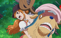 Mom's Assassin! Luffy and the Seducing Woods!