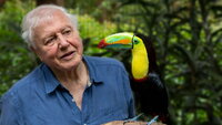 Attenborough's Life in Colour