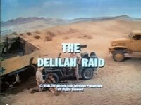 The Delilah Raid