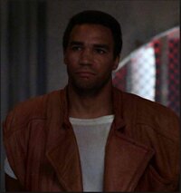 Coalition Lieutenant