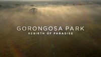 Gorongosa Park: Rebirth of Paradise