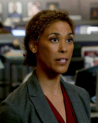 NCIS Special Agent Veronica &quot;Ronnie&quot; Tyler