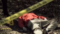 Murder, Lies & Bondage Ties