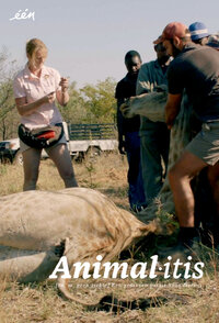 Animalitis