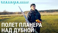 Модель. Полет планера над Дубной
