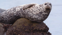 Monterey Bay Marine Sanctuary