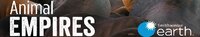Animal Empires