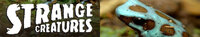 Strange Creatures