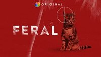Feral
