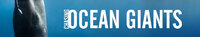 Chasing Ocean Giants