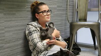 Kitten Impossible: Roadtrip Rescue