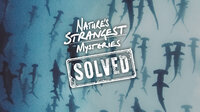 Nature's Strangest Mysteries: Solved