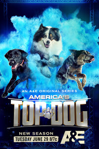 America's Top Dog