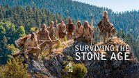 Surviving the Stone Age