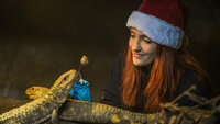 The Secret Life of the Zoo at Christmas 2017