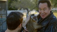 Las Vegas with Steve Angelo, Wayne Newton, Justin Bieber, Tiesto
