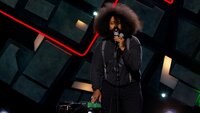 Nick Turner, Colin Jost, Reggie Watts