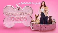 Vanderpump Dogs