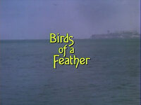 Birds Of A Feather