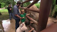 A Family Searches a Small Town for the Ultimate Open Space