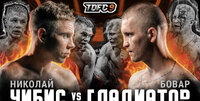 Чибис vs Гладиатор | Бой вечера | TDFC9 | Зал славы Top Dog