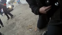 Fight or Flight