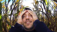 Sizing Up Sal