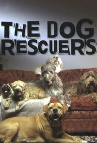 The Dog Rescuers with Alan Davies