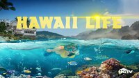Hawaii Life