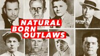 Natural Born Outlaws