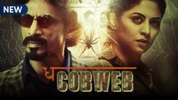 The Cobweb