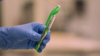 The Green Pen