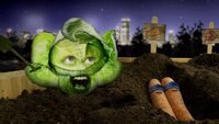 Everybody Loves Cabbage