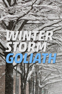 Winter Storm Goliath