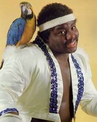 Koko B. Ware