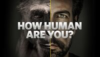 How Human Are You?