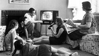 Television Comes of Age (1960-1969)