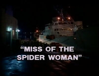 Miss of the Spider Woman