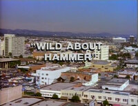 Wild About Hammer