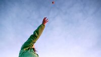 The Plot Against Gravity