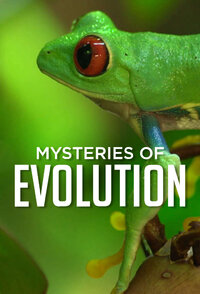 Mysteries of Evolution