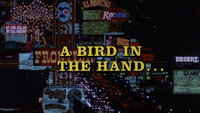A Bird in the Hand...