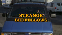 Strange Bedfellows