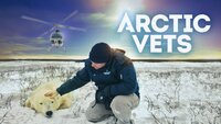 Arctic Vets