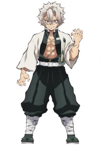 Sanemi Shinazugawa