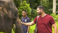 Malaysian Melting Pot