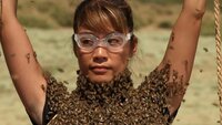 The Bees Are So Angry