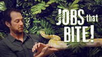 Jobs That Bite!